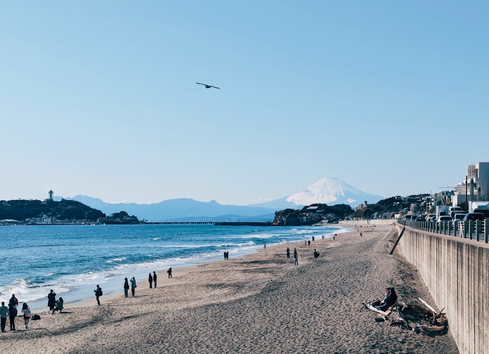 a group of people standing on top of a sandy beach