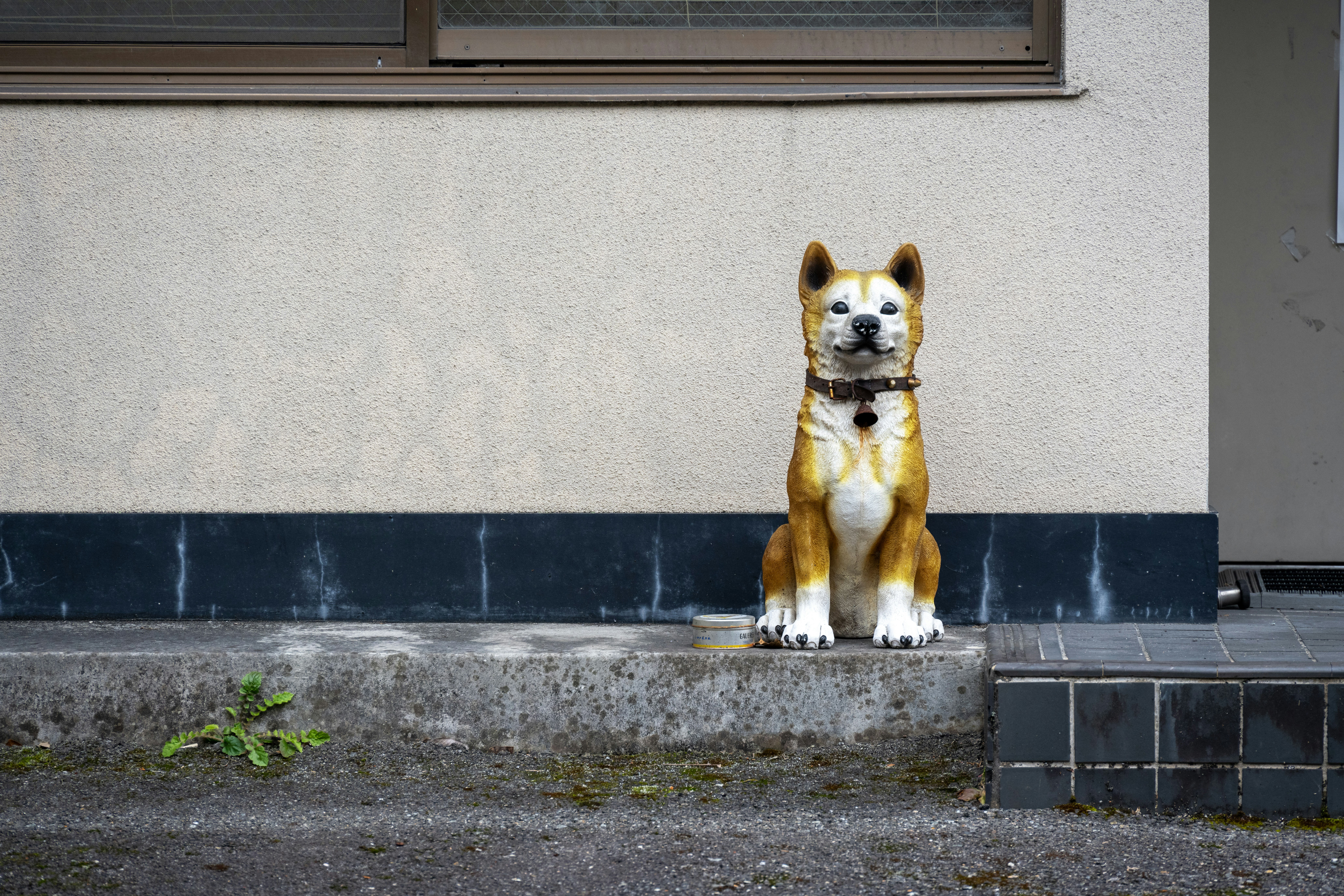 Emotional Doorway Dilemmas