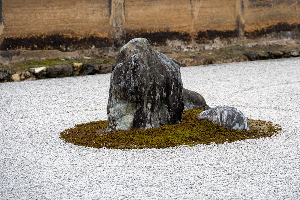 a rock with moss growing on top of it