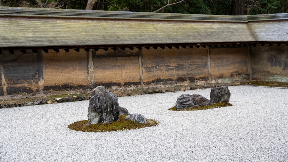 a rock garden with moss growing on the rocks