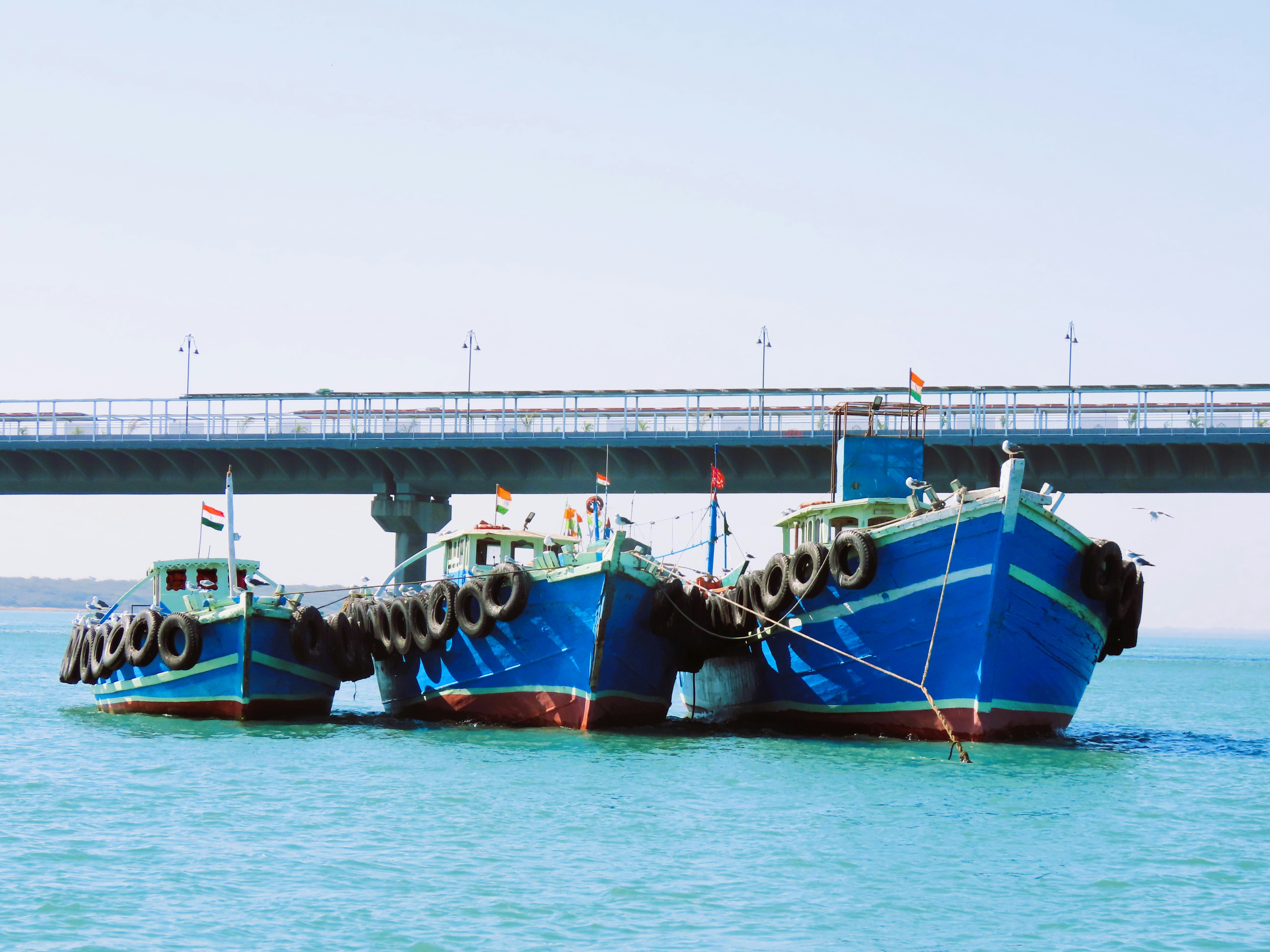 Photo by shutterbugsumit