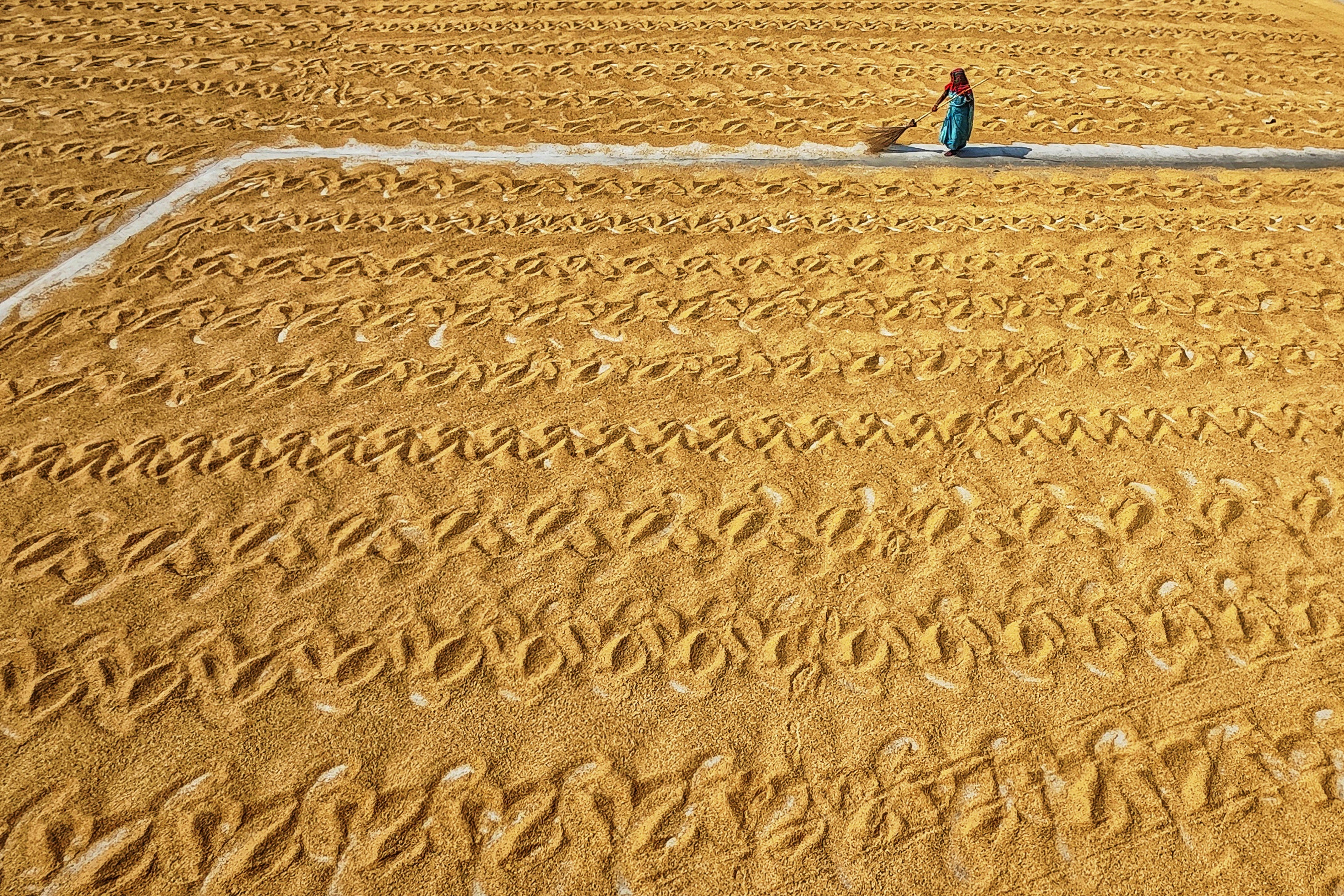 Photo by dibakar16roy