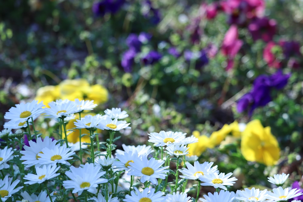 un ramo de flores que están en la hierba