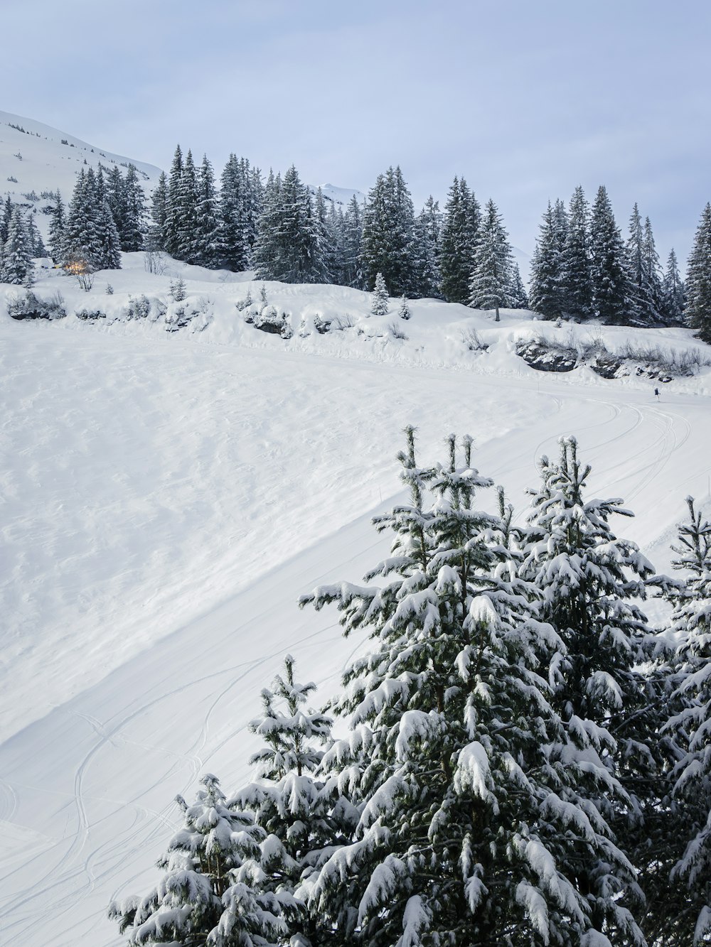 a snow covered hill with trees in the foreground