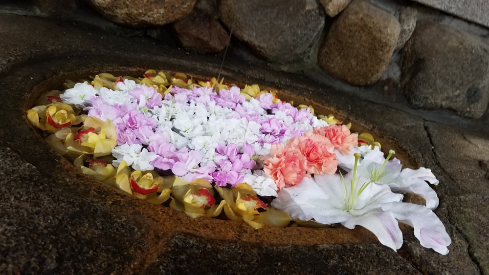 a bunch of flowers that are sitting on a rock
