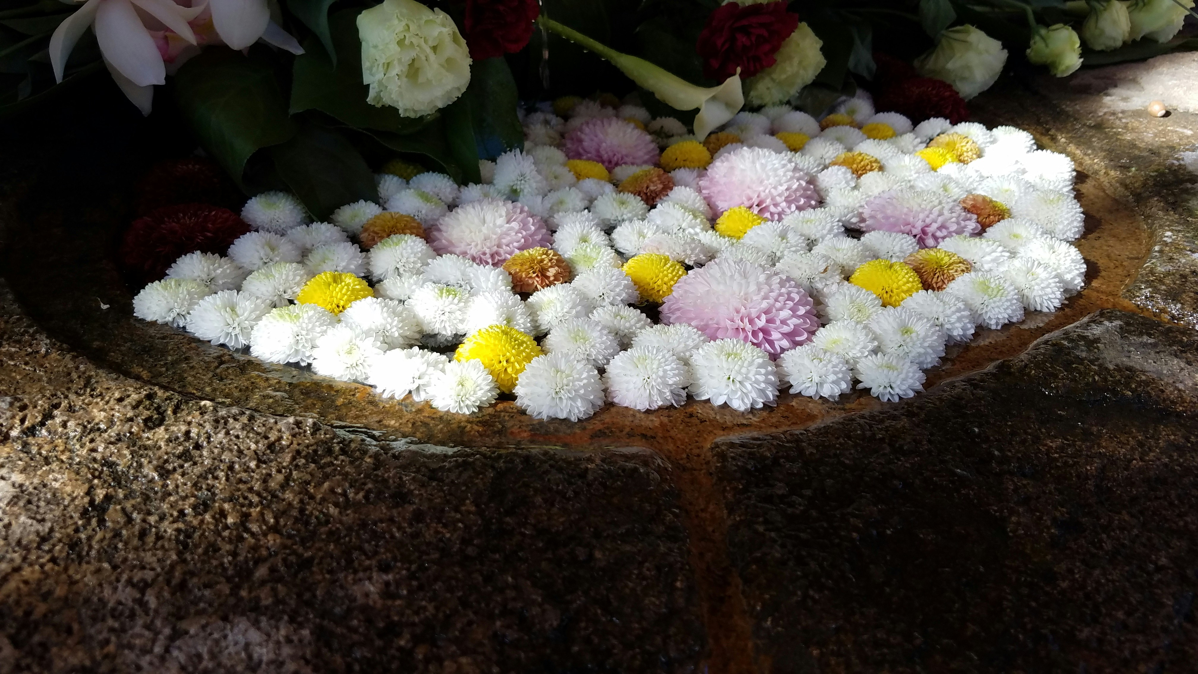 Kue ulang tahun yang indah dengan tulisan 'Selamat Ulang Tahun Ibu', dikelilingi oleh bunga dan hadiah.