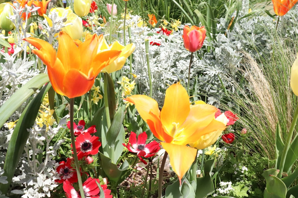 un ramo de flores que están en la hierba