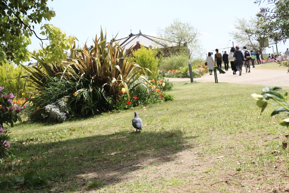 a group of people walking around a park