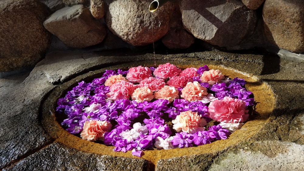 a bowl filled with flowers sitting on top of a pile of rocks