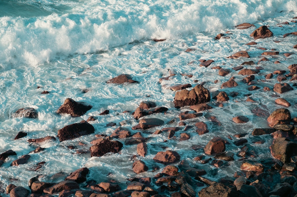 a large body of water next to a rocky shore