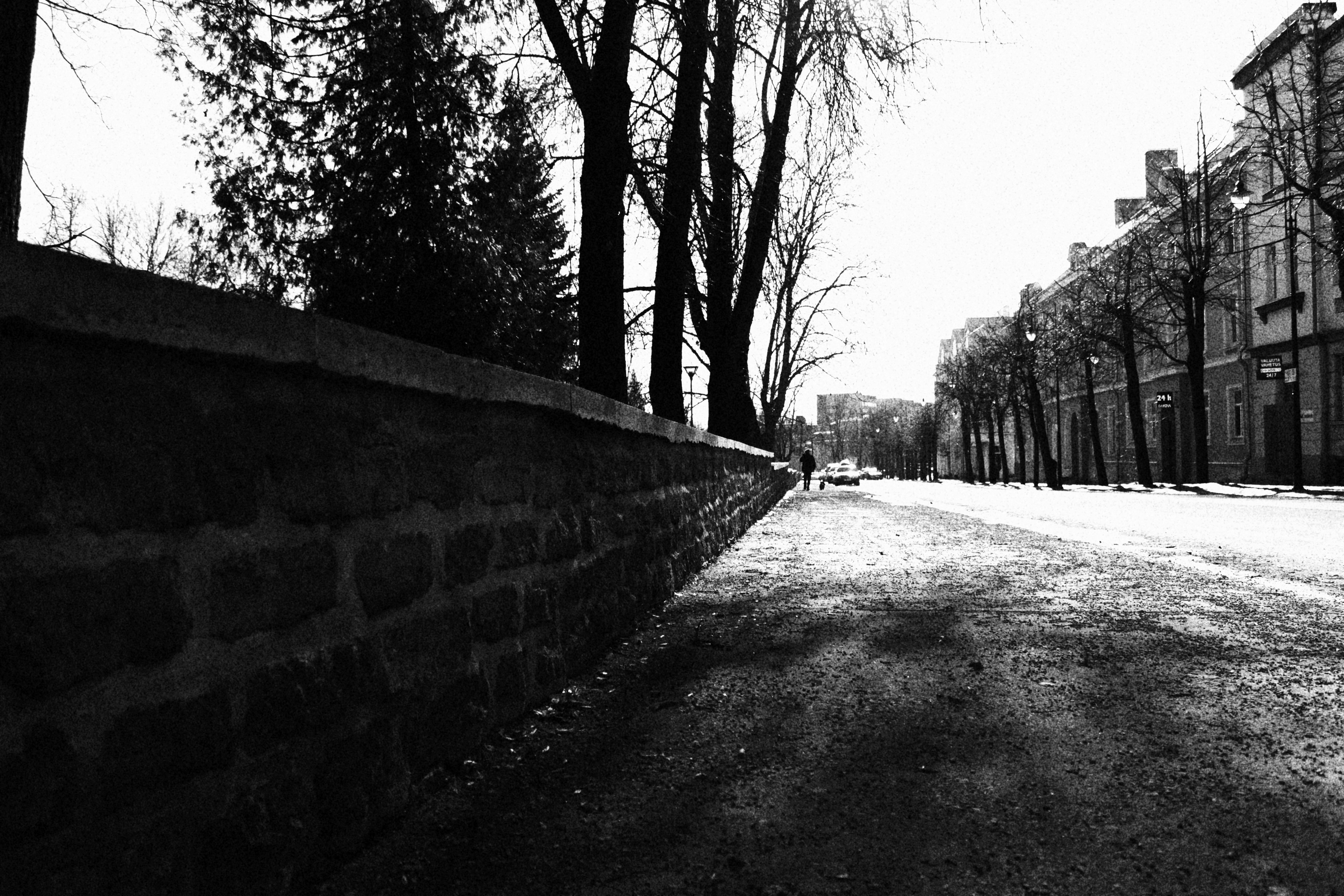 Photo by maximyuryshev