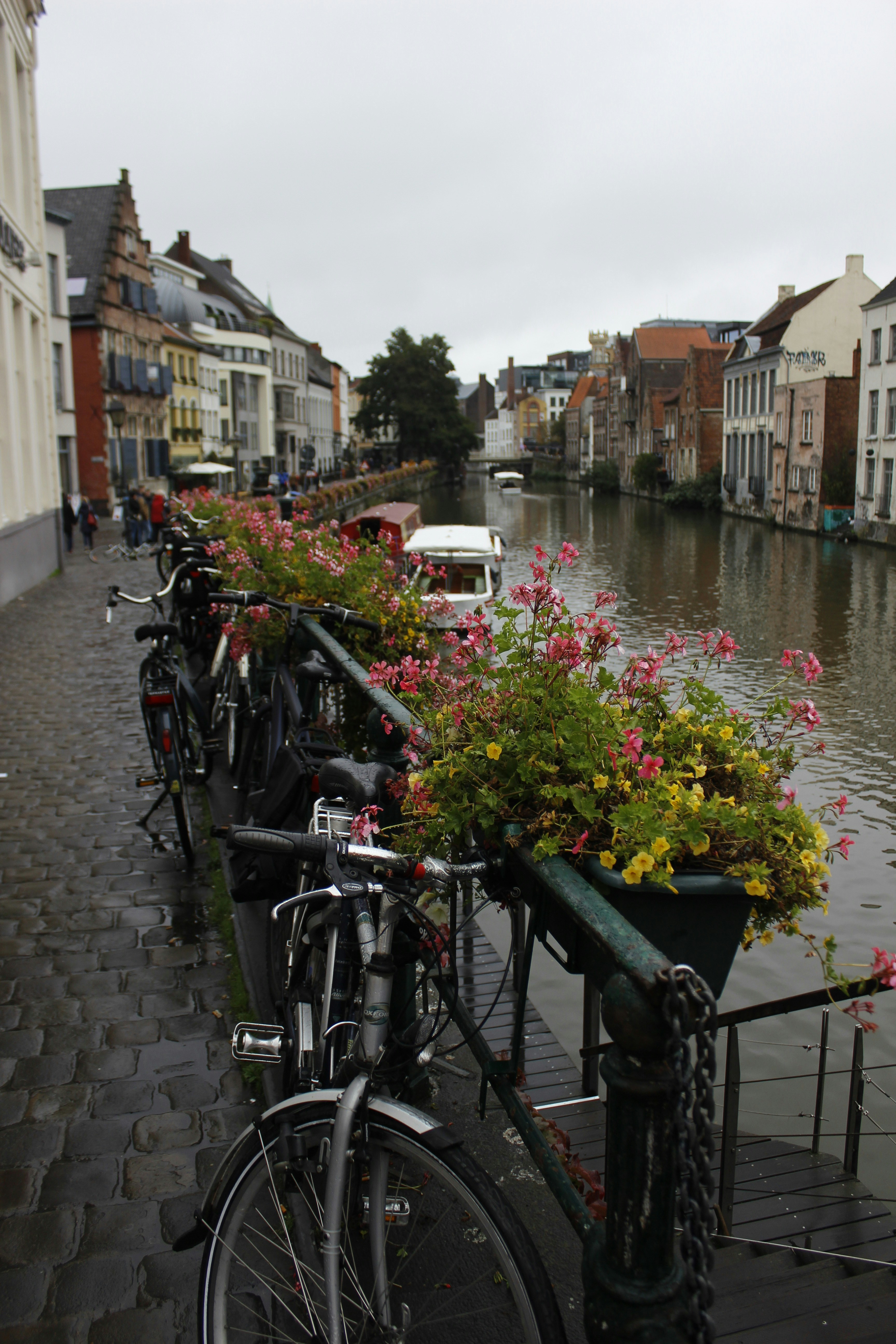 gray computer monitor