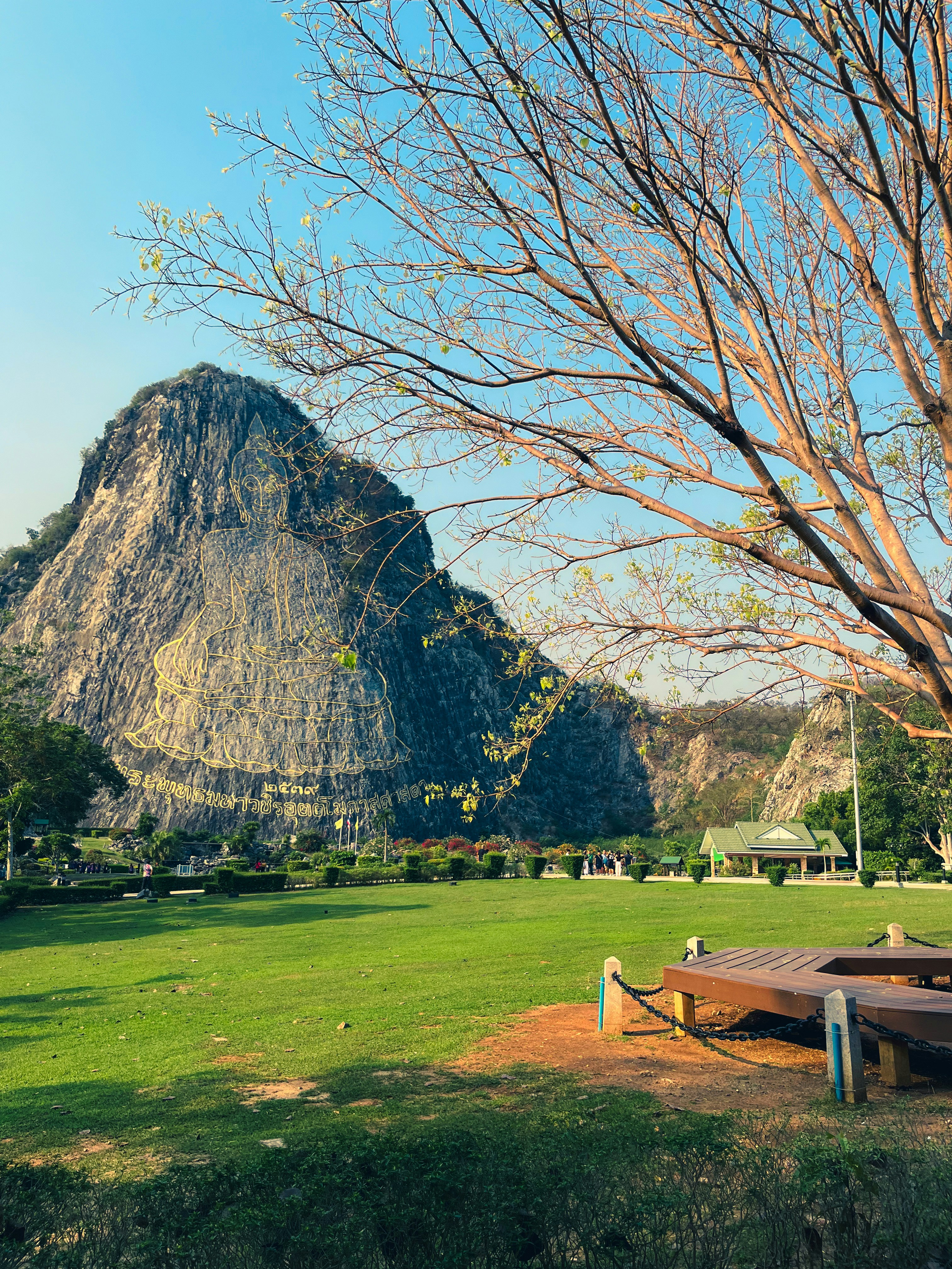 山を背景にした広い草原