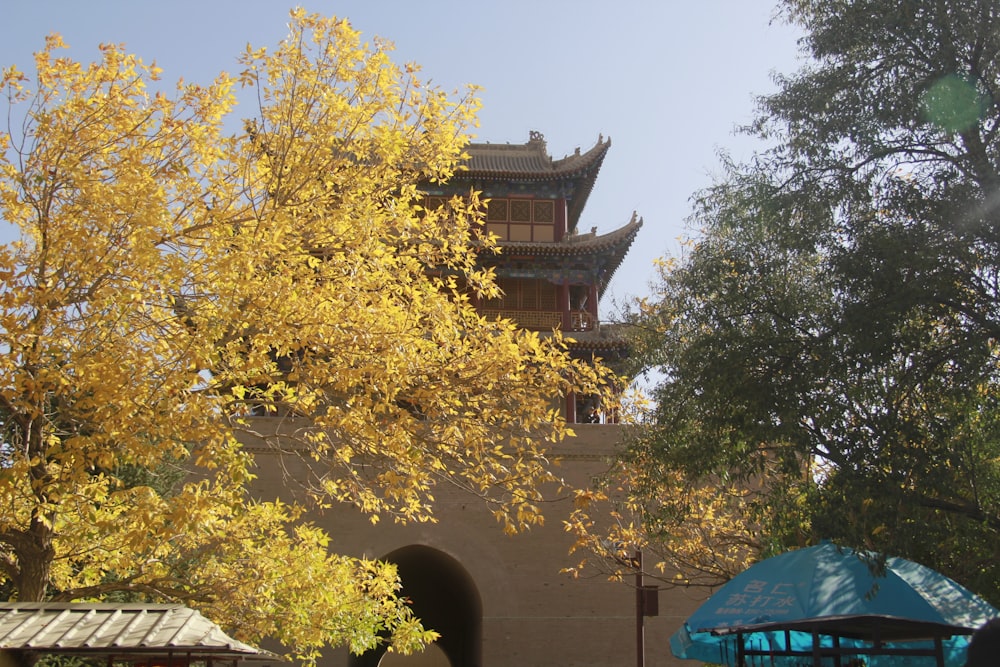 a tree with yellow leaves in front of a building