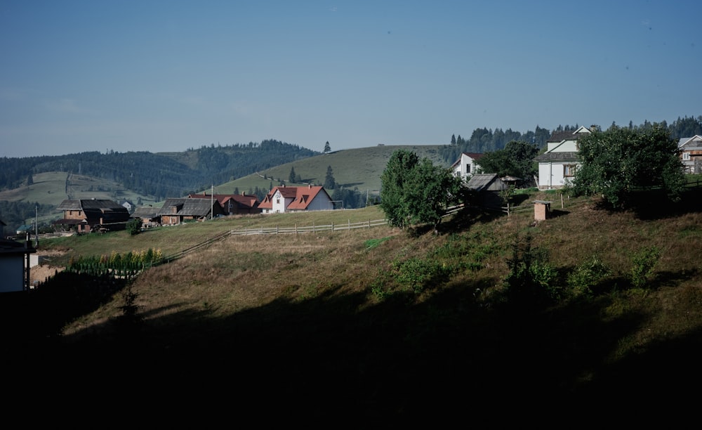 a hill with houses and trees on it