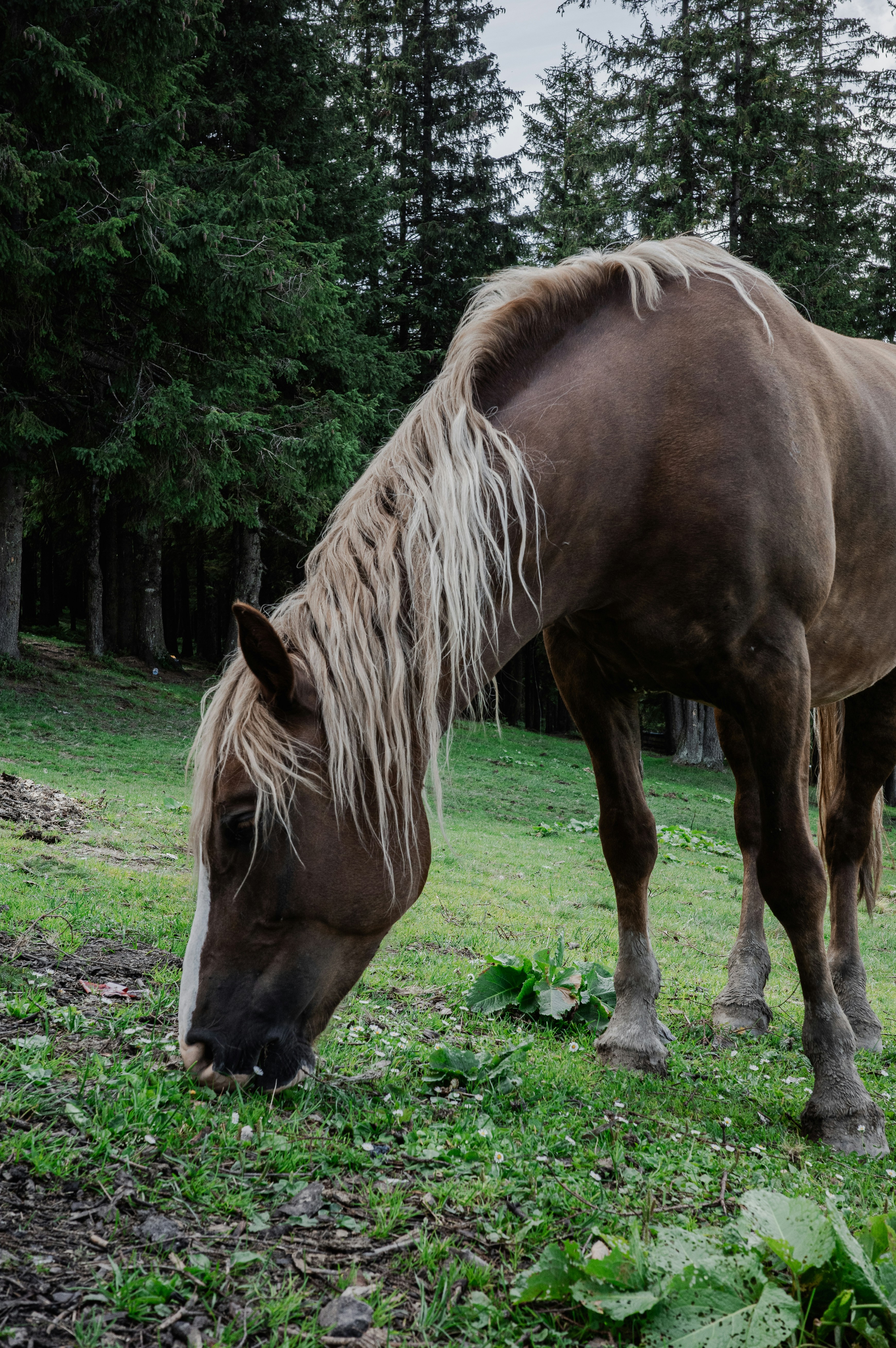 Photo by anastasiiasaan