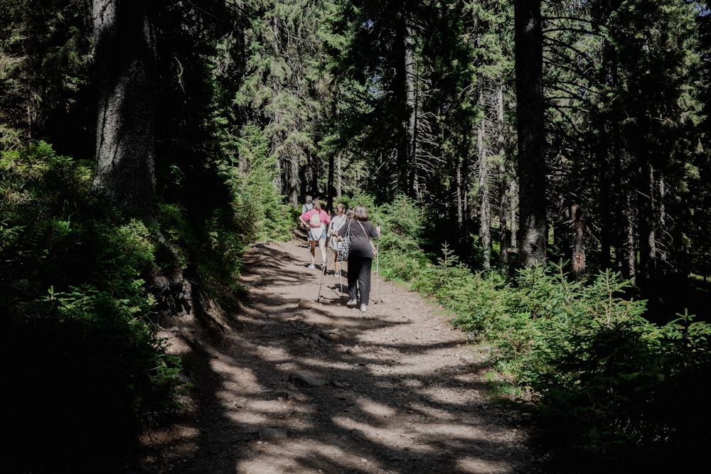 a couple of people walking down a dirt road