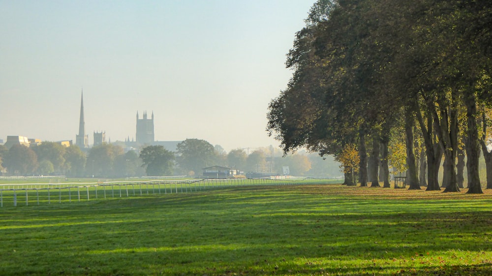 a row of trees on a grassy field with a church in the background