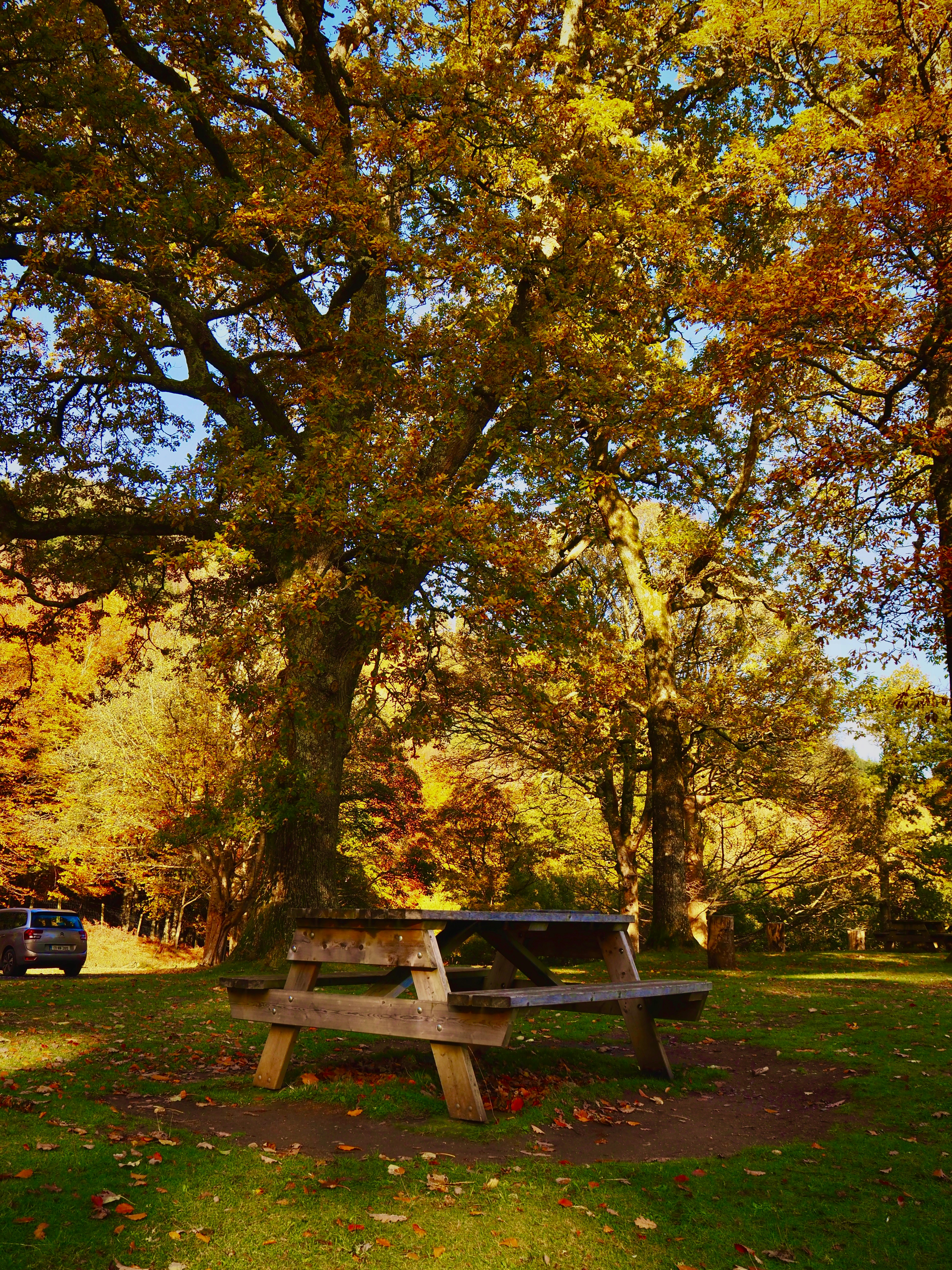 Photo by 13_delendrea_23