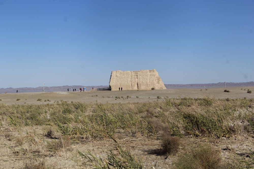 a group of people standing in a field next to a large rock