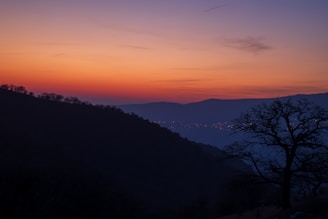 a sunset over a mountain with a tree in the foreground