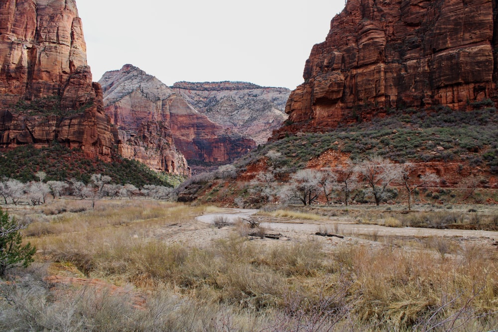 a scenic view of a canyon in the mountains