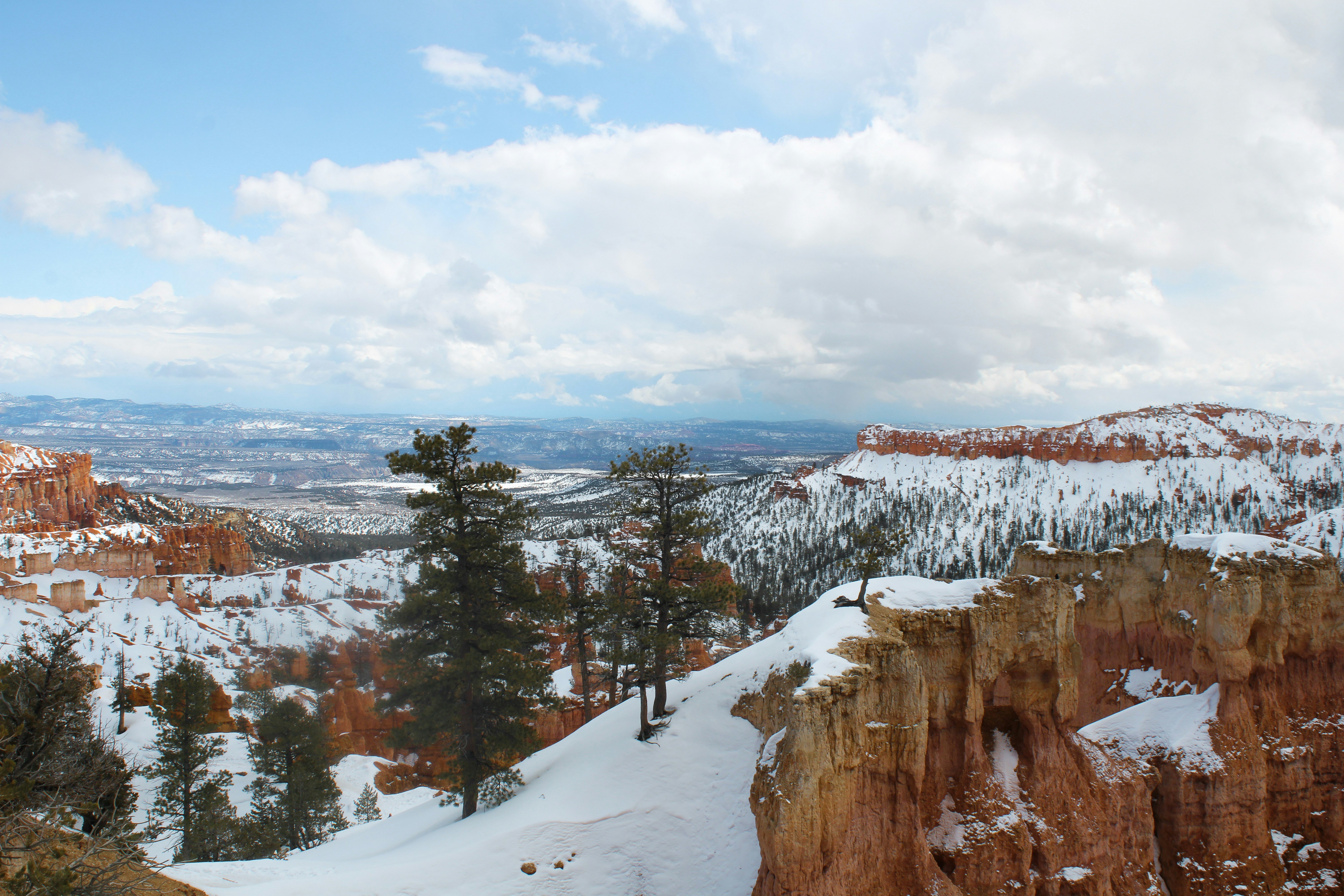 Photo by hadleywoodall