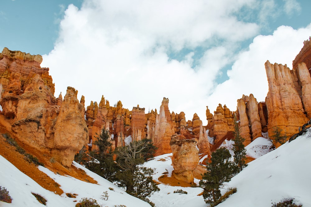 uma paisagem coberta de neve com rochas e árvores