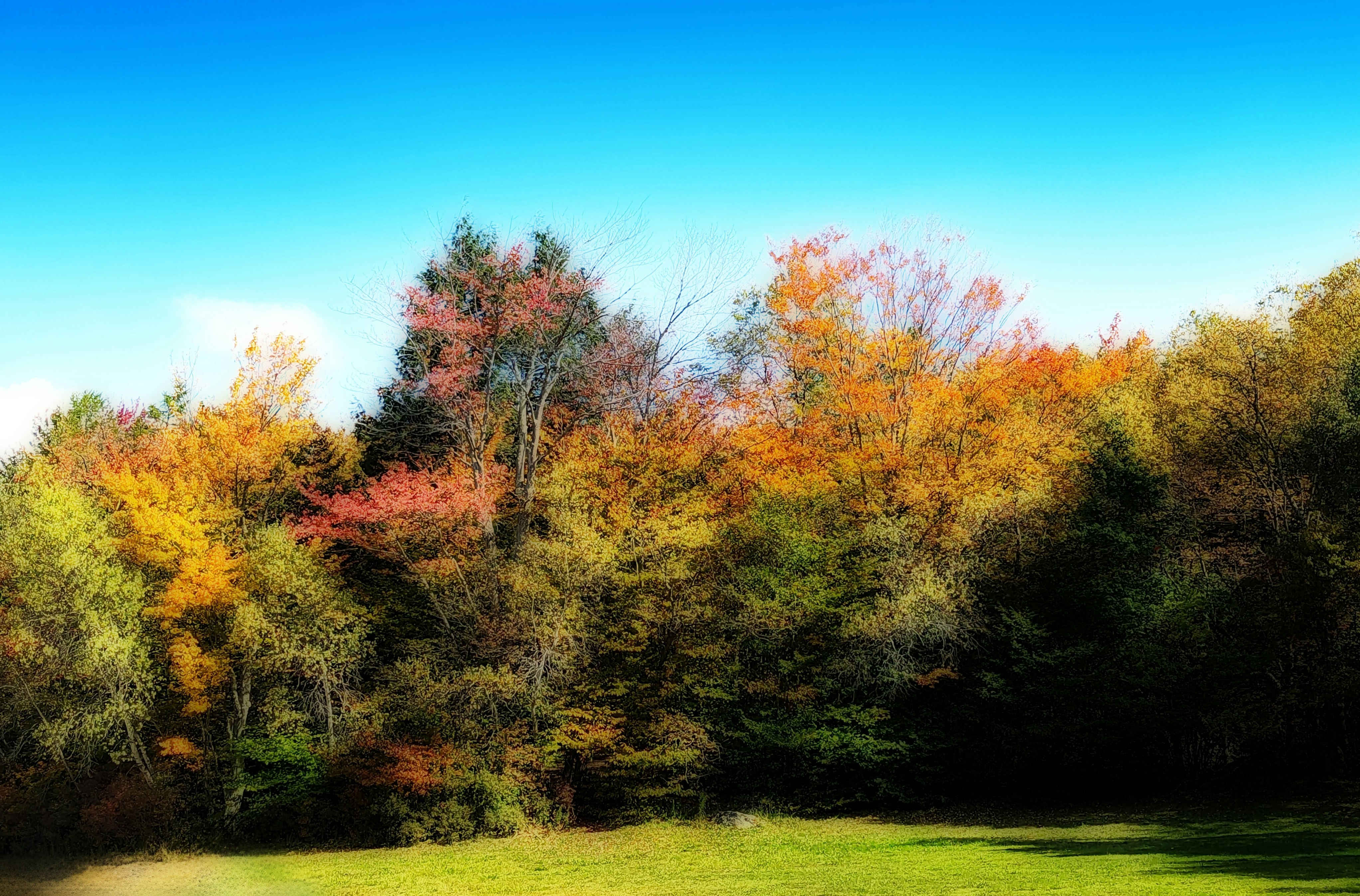 Photo by freethinker