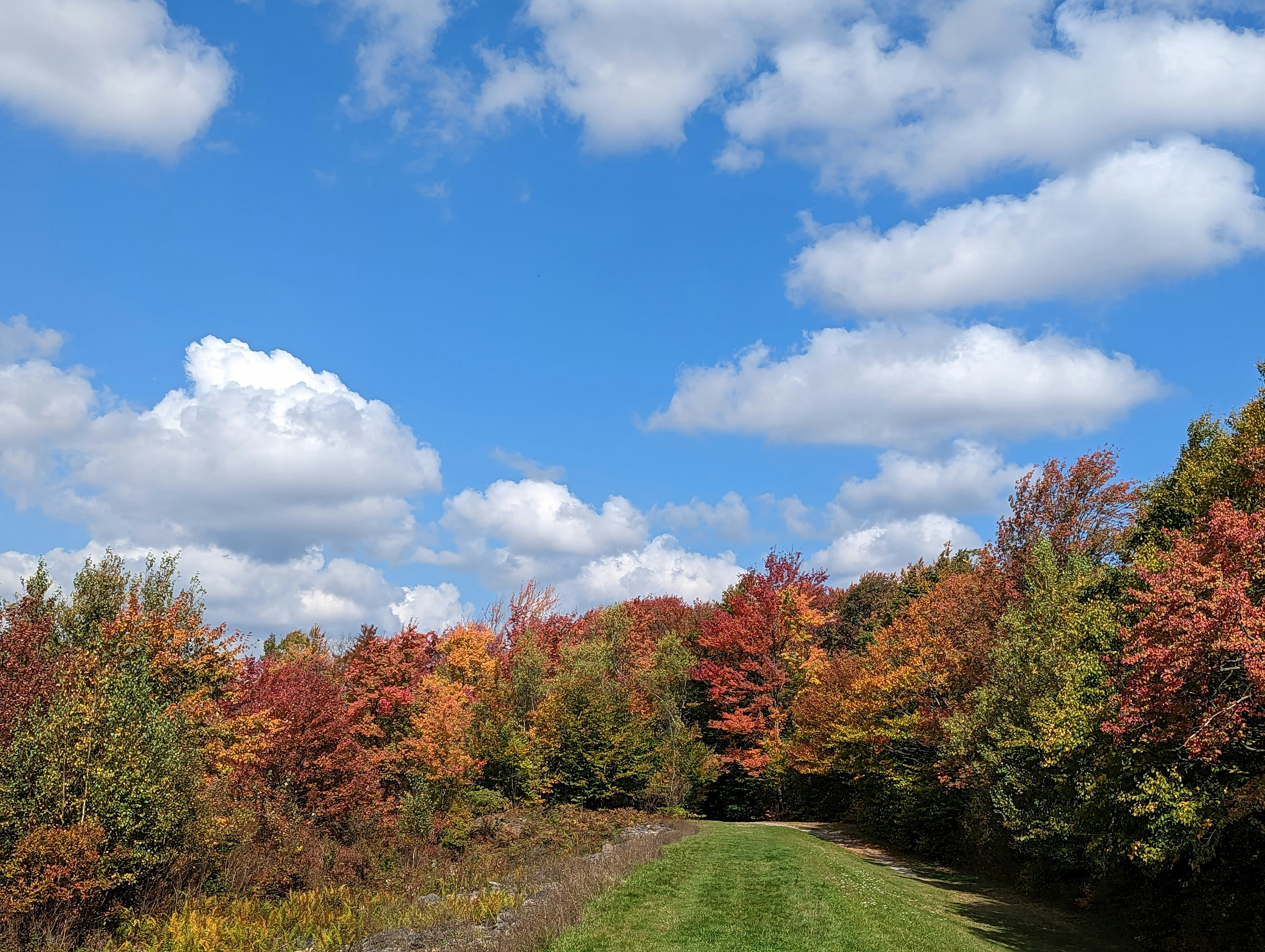 Photo by freethinker