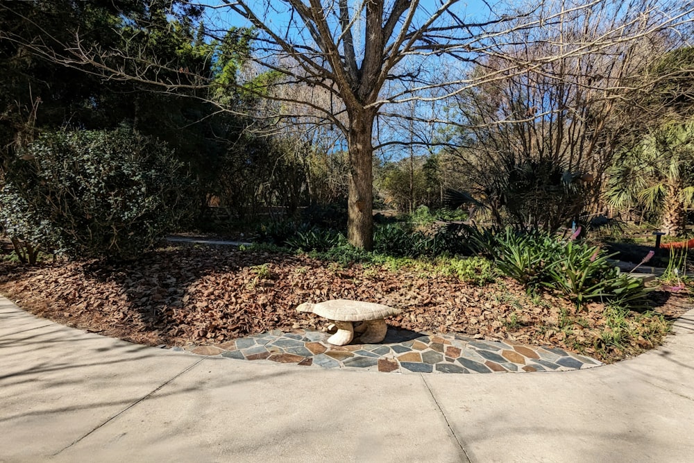 a stone bench sitting in the middle of a park
