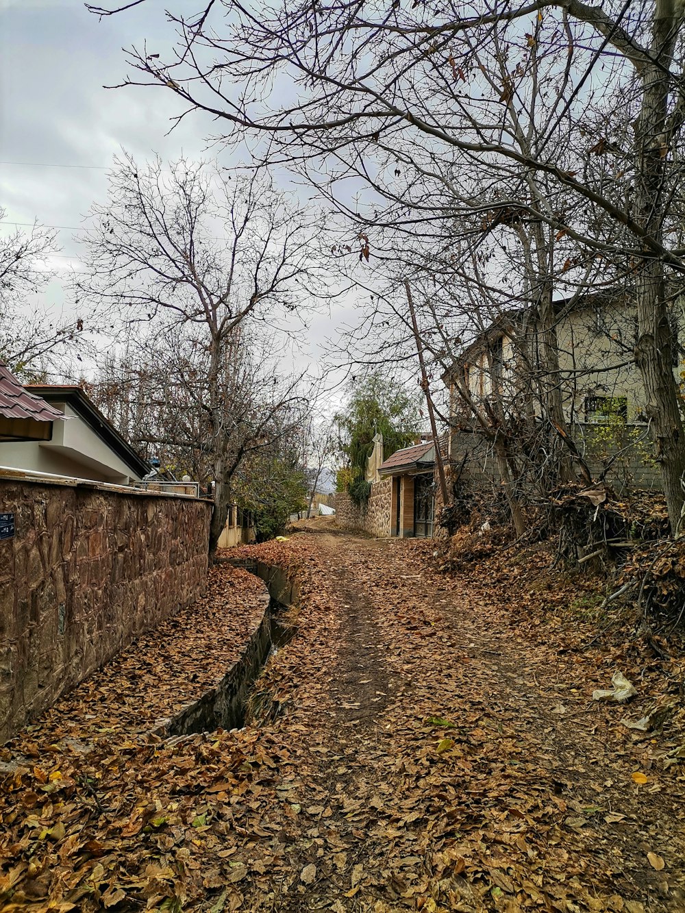 a dirt road that has fallen leaves on the ground