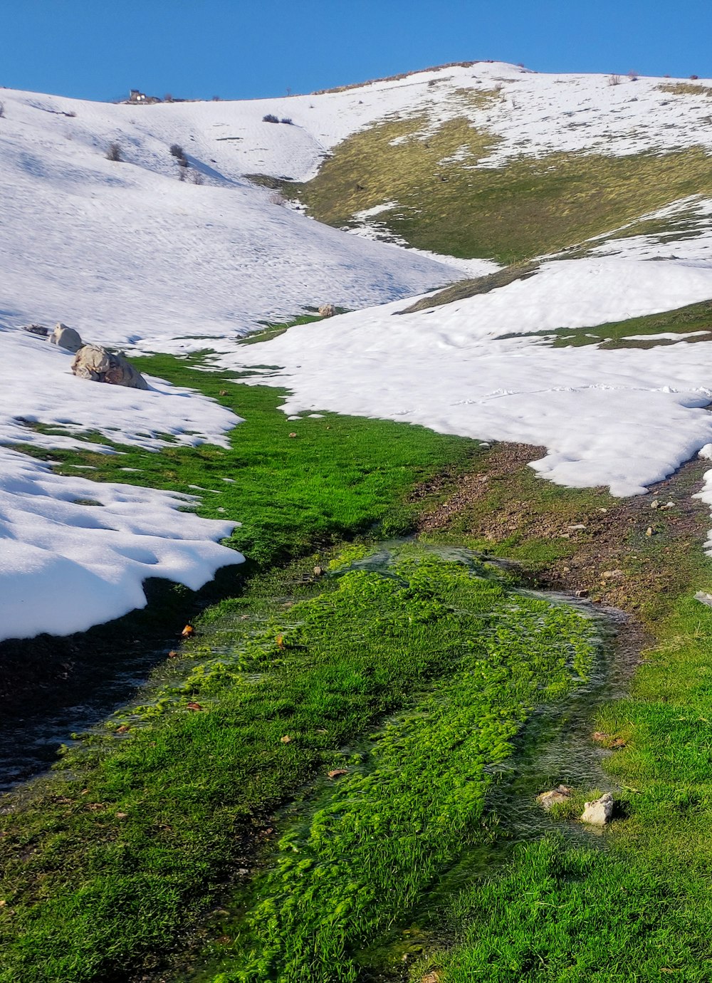 a mountain with a stream running through it