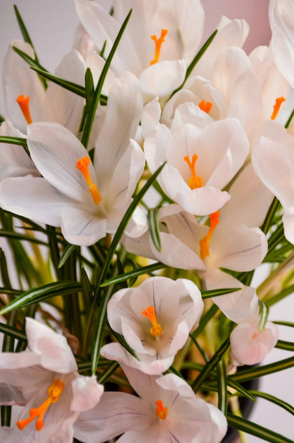 a vase filled with white flowers on top of a table