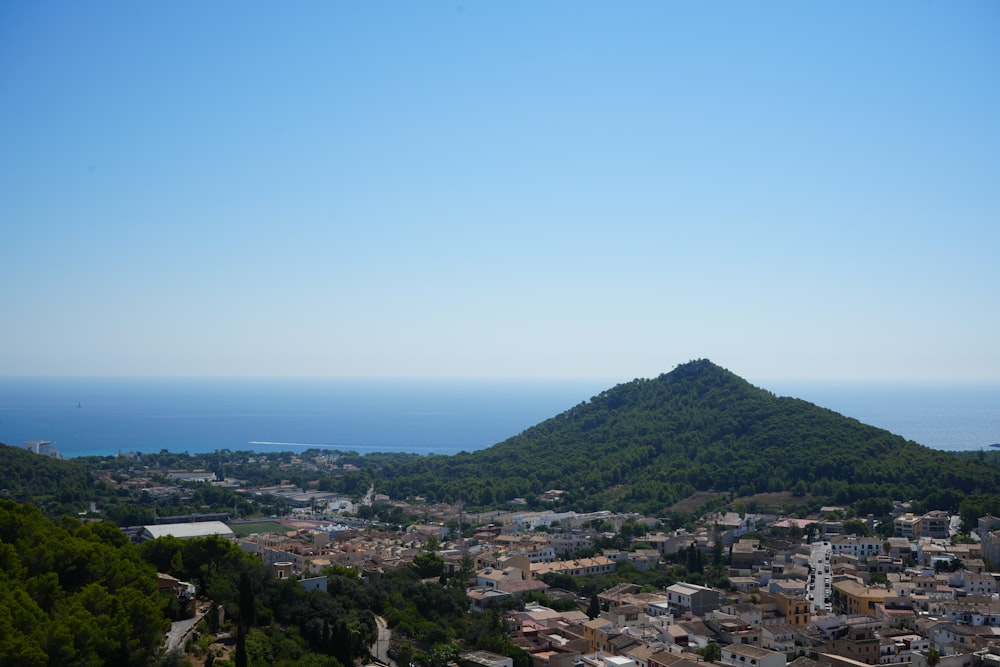 a view of a city with a mountain in the background