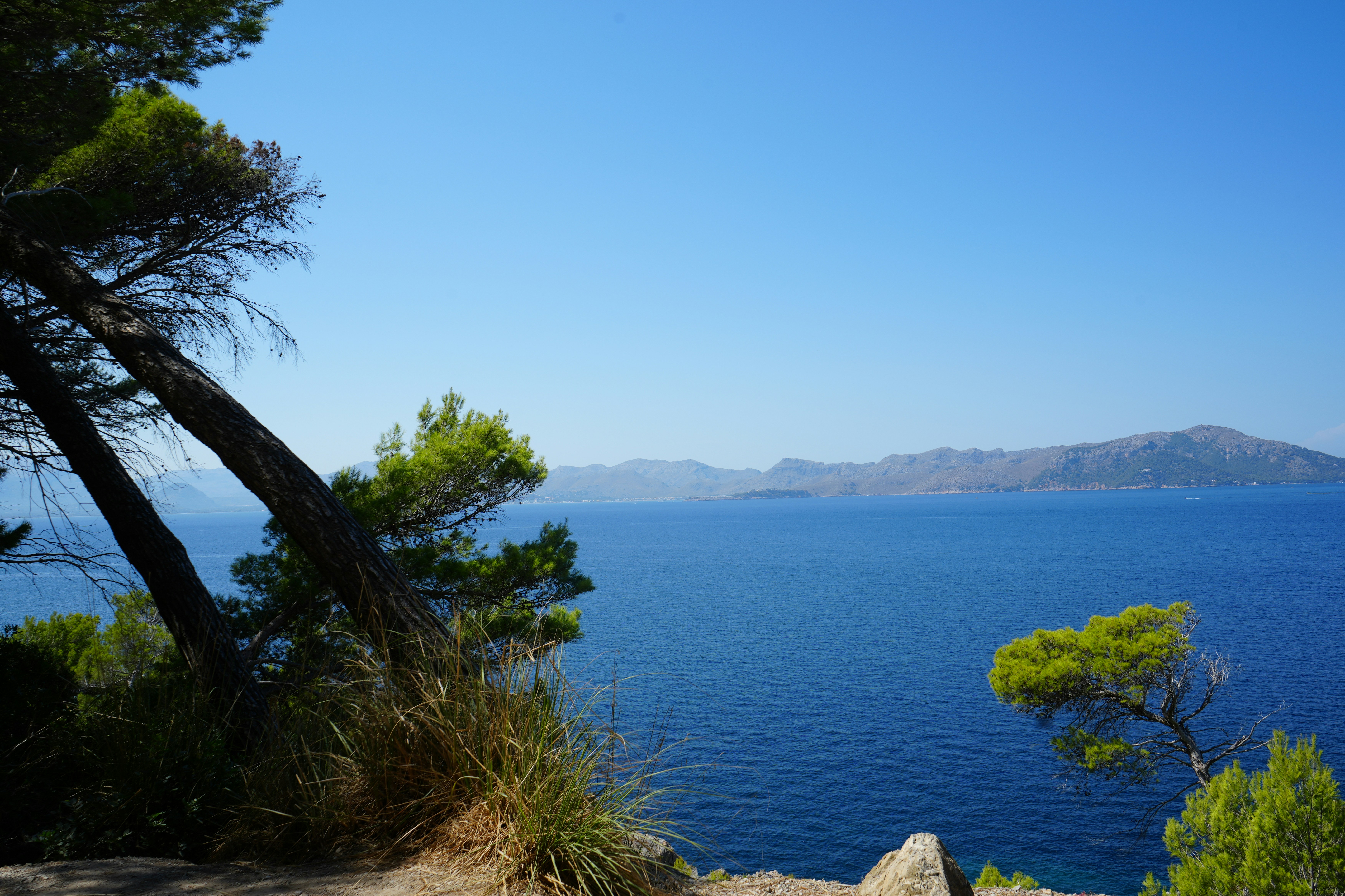 Photo by giancarlo_zi