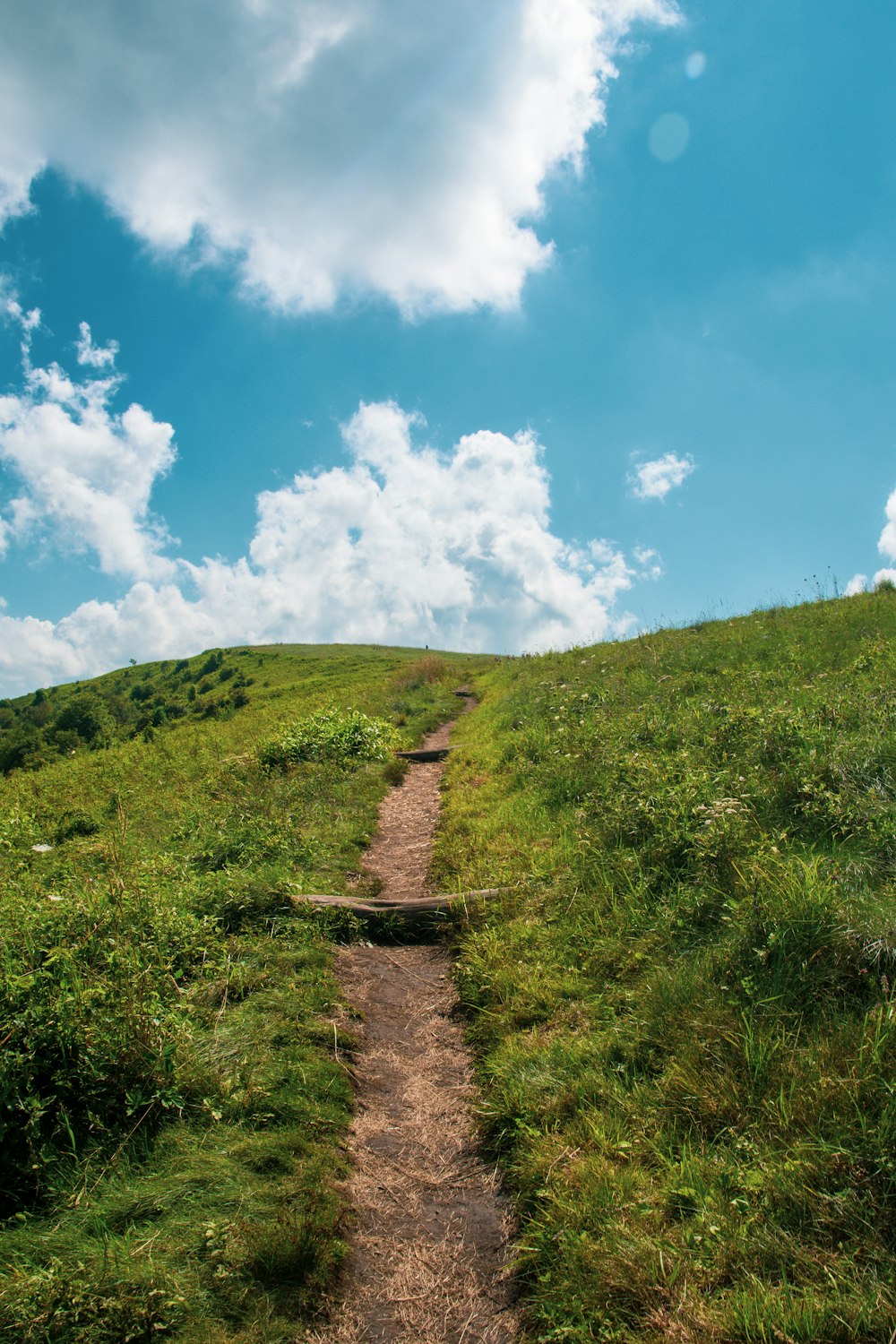 a dirt path going up a grassy hill