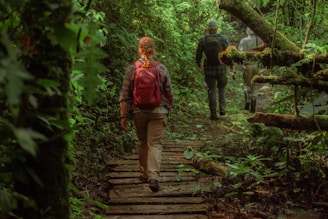 a couple of people that are walking in the woods