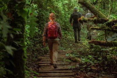 a couple of people that are walking in the woods