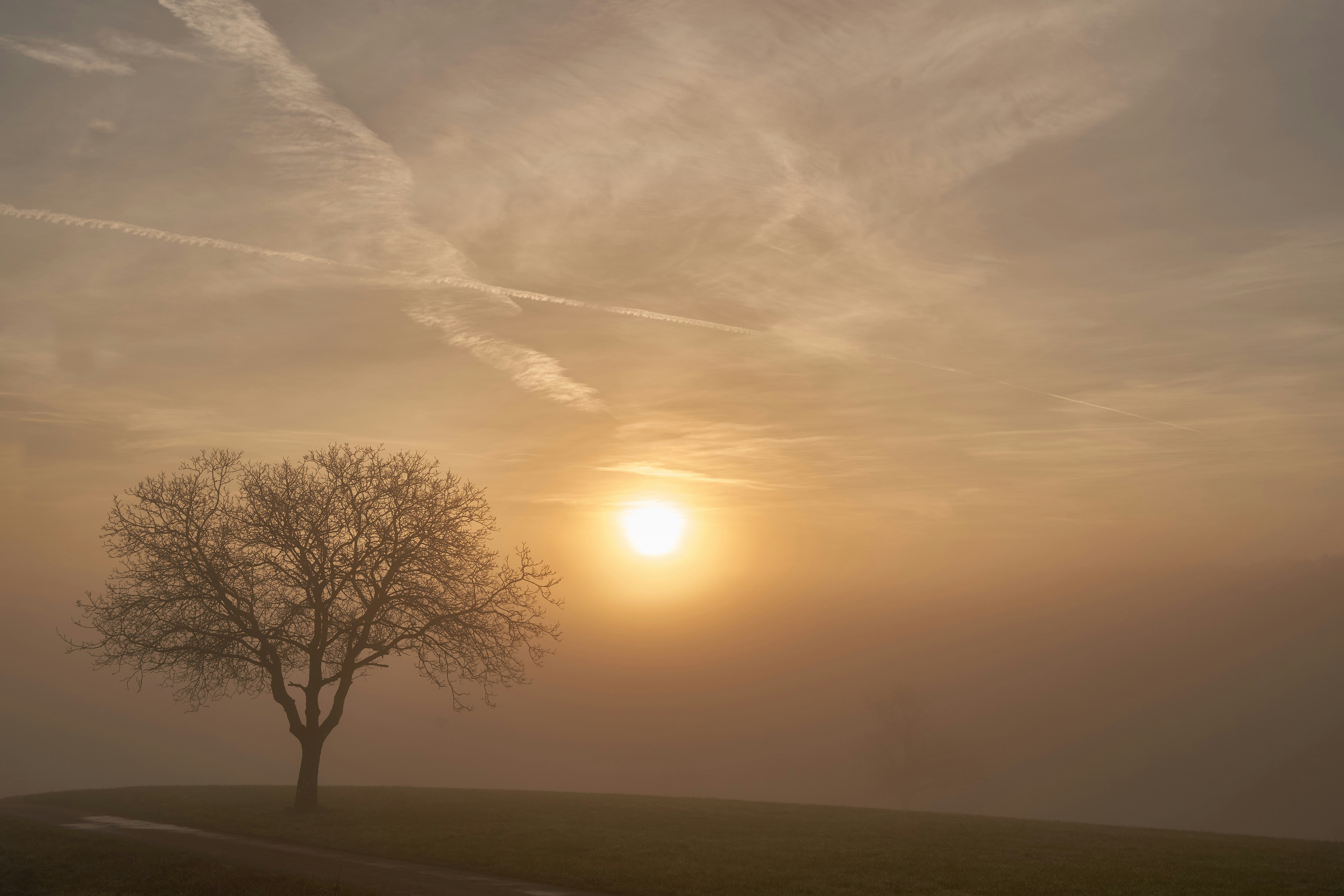 Photo by wolfgang_hasselmann