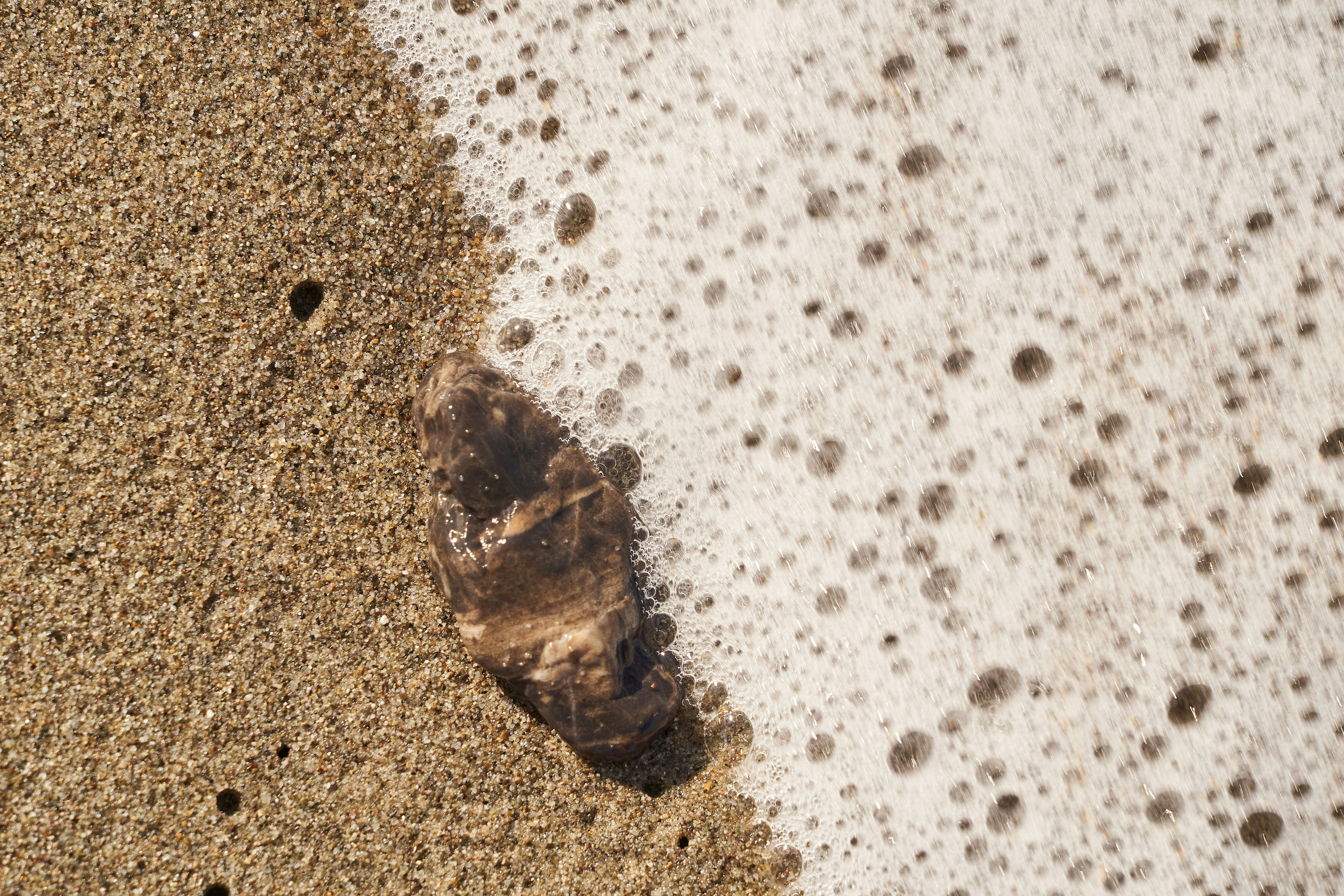 Photo by wolfgang_hasselmann