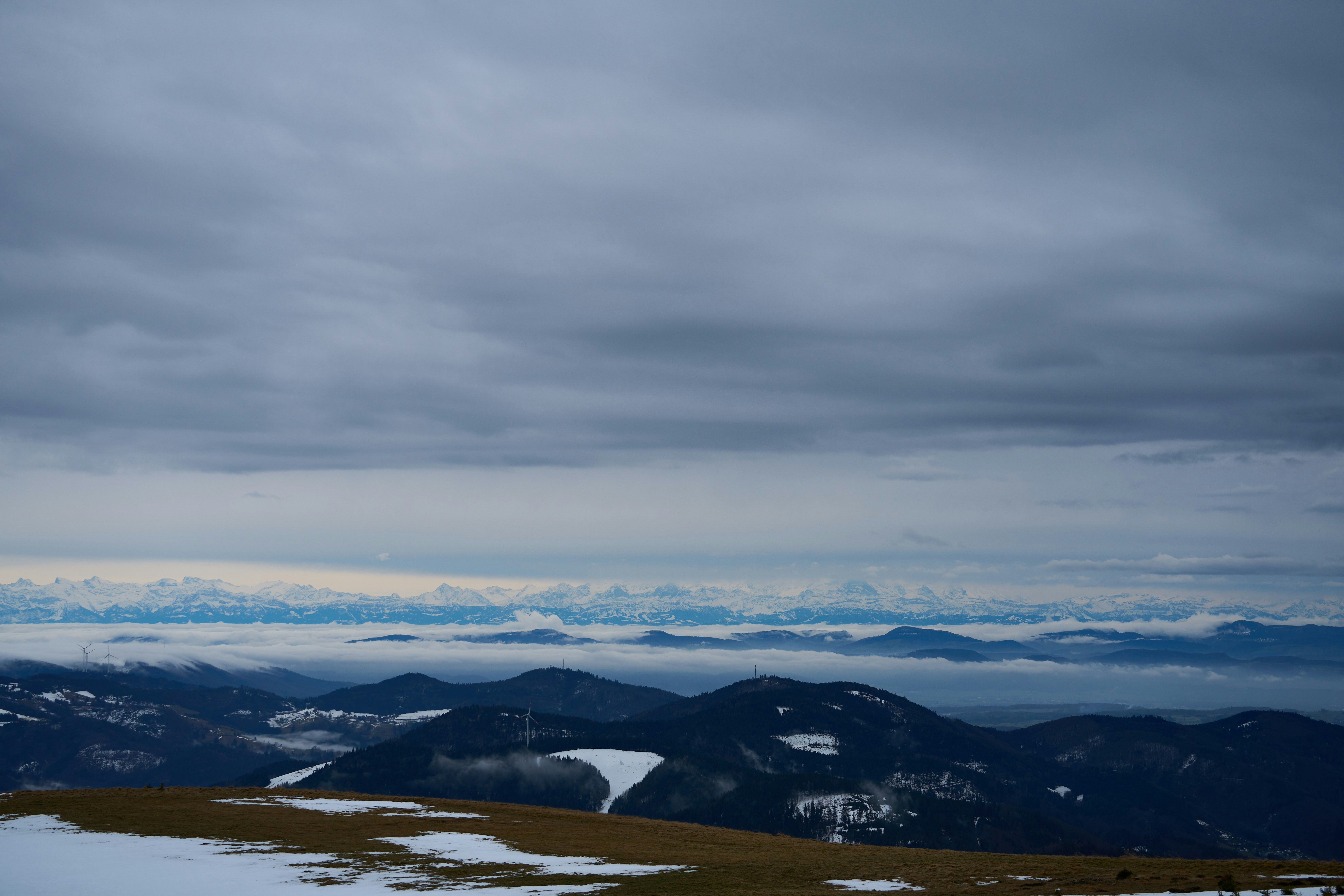 Photo by wolfgang_hasselmann