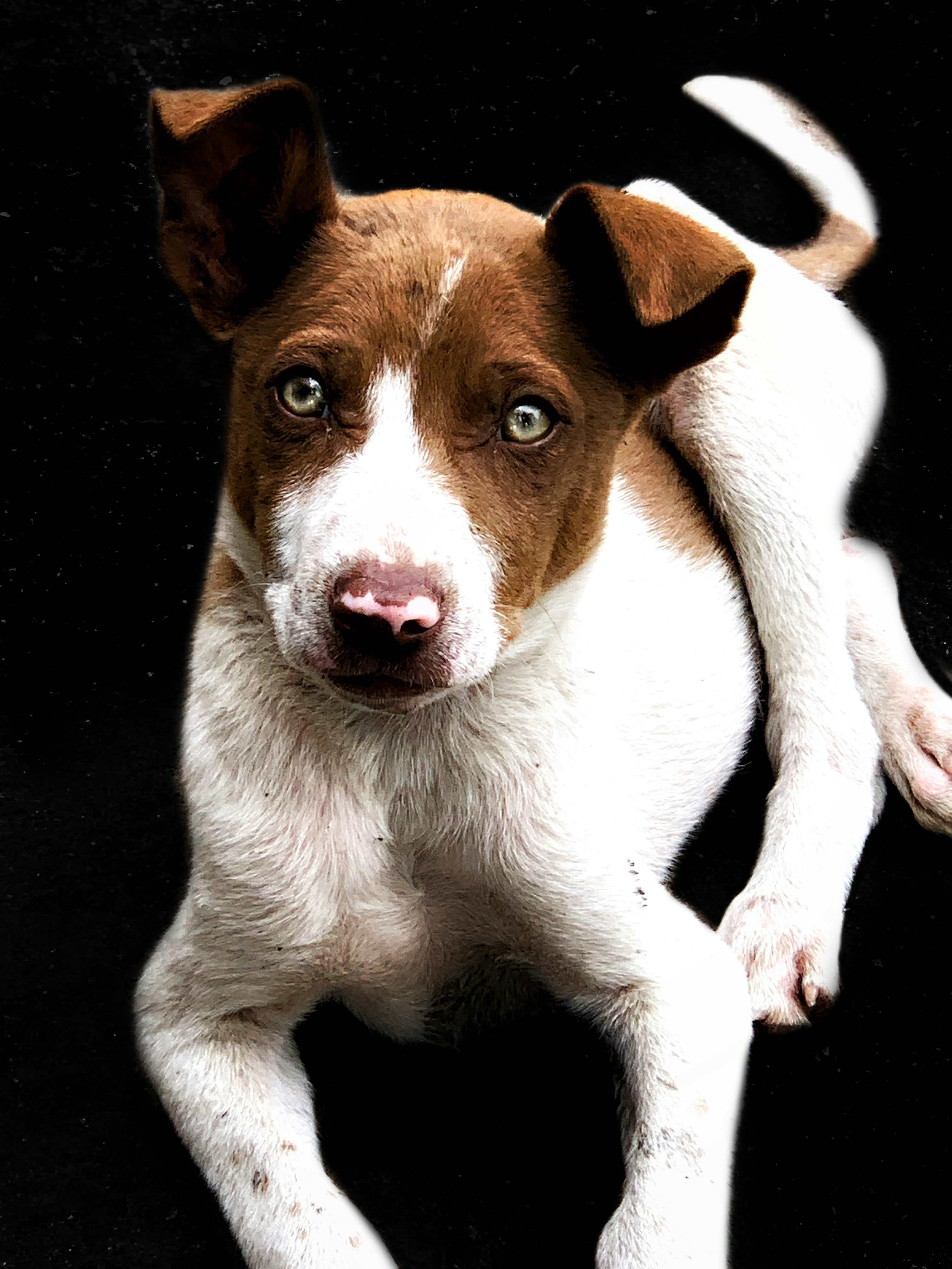 Photo by aradhyakansal