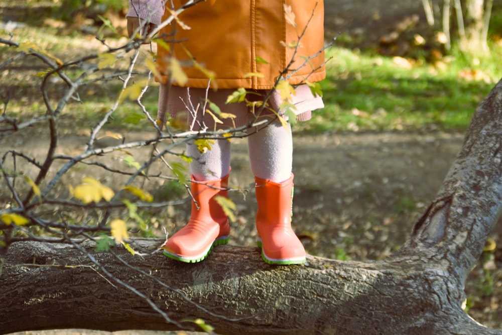 a little girl standing on top of a tree branch