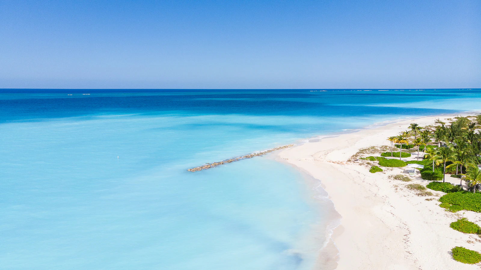 Aerial view of a turquoise Turks and Caicos beach lined with palm trees