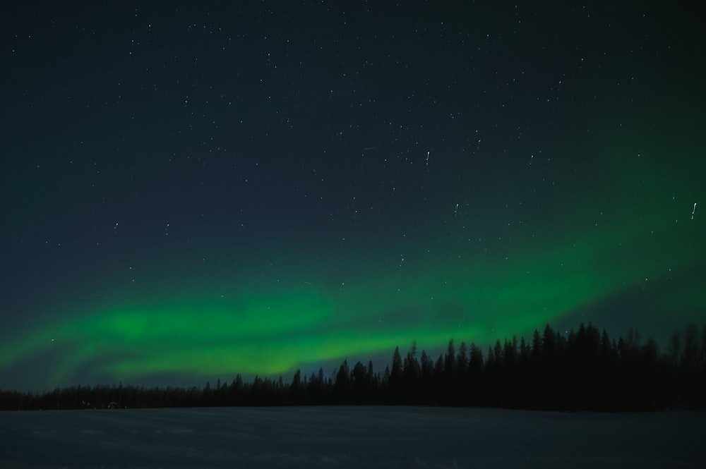 a green aurora bore in the sky over a snow covered field