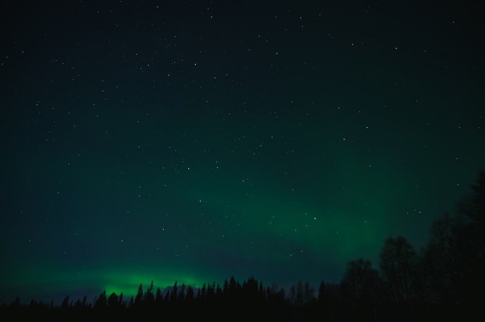 a green and black sky filled with stars