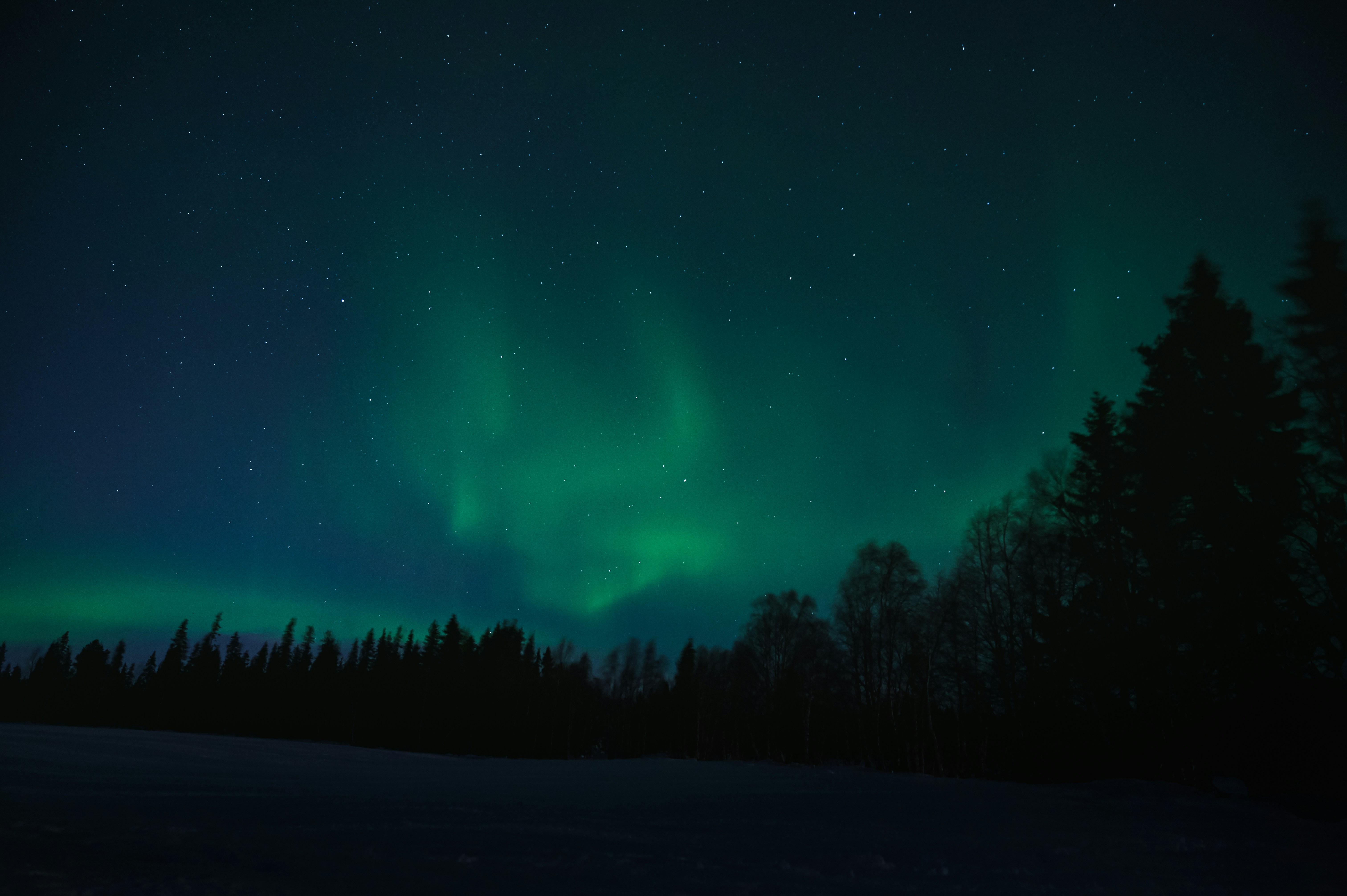 Best Northern Lights Quotes to Take Your Breath Away