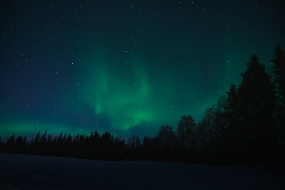 a green and blue sky filled with lots of stars