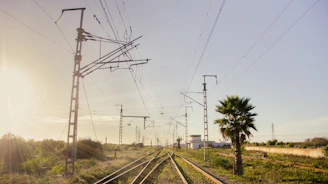 a train track with a palm tree in the foreground